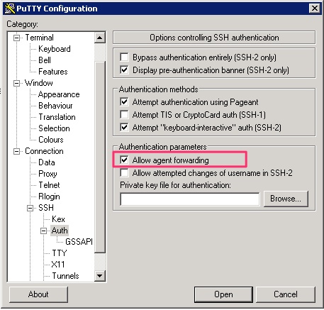 Screenshot of the Pageant PuTTY component providing the SSH key for authentication