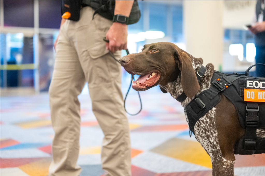 Figure 2: K9 units – valued members of our onsite security team