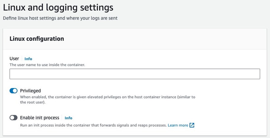 This image shows how to enable the privileged mode in Linux and logging settings through AWS Console.