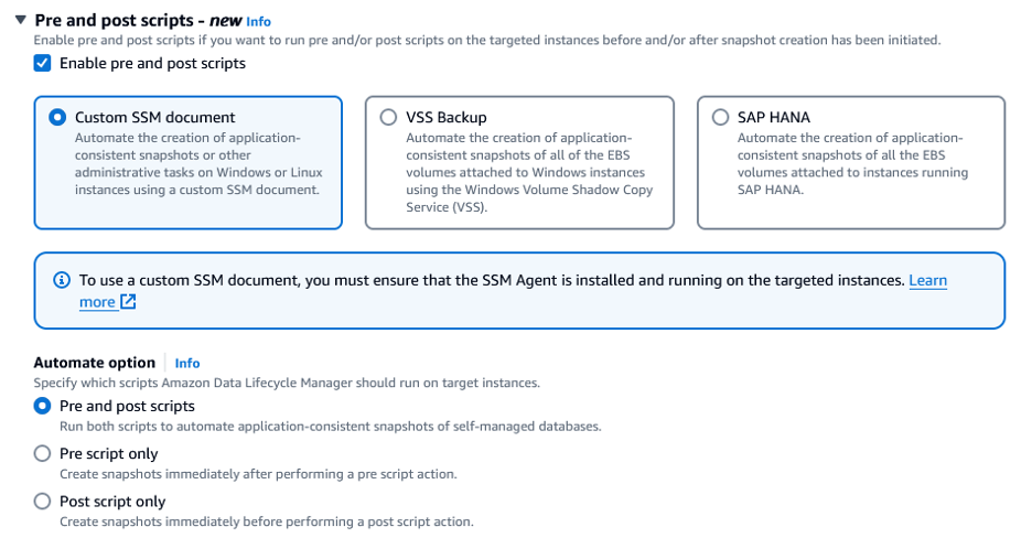 Screenshot for the selection of Custom SSM document tile