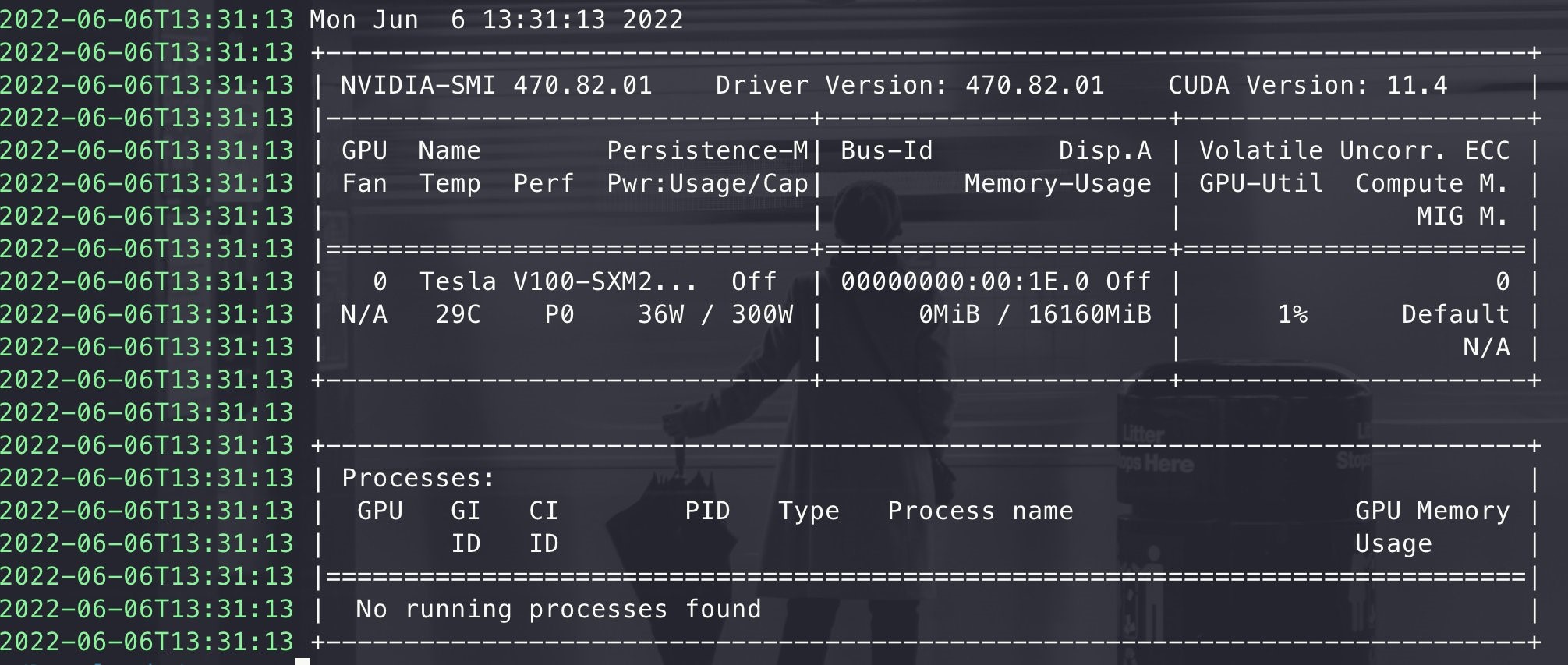 Out showing Log output from AWS CLI command