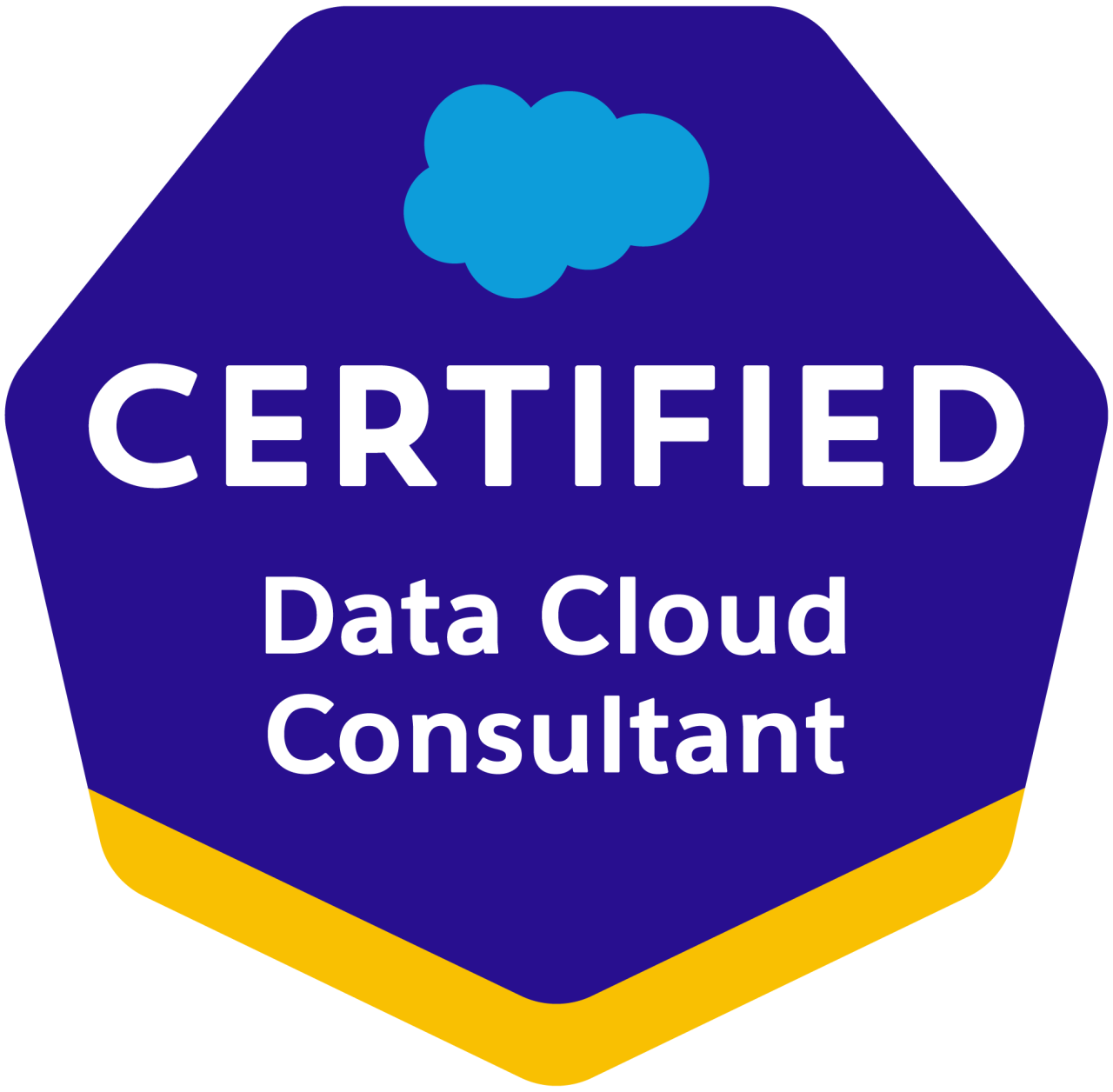 salesforce certified data cloud consultant.