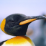 King_Penguin