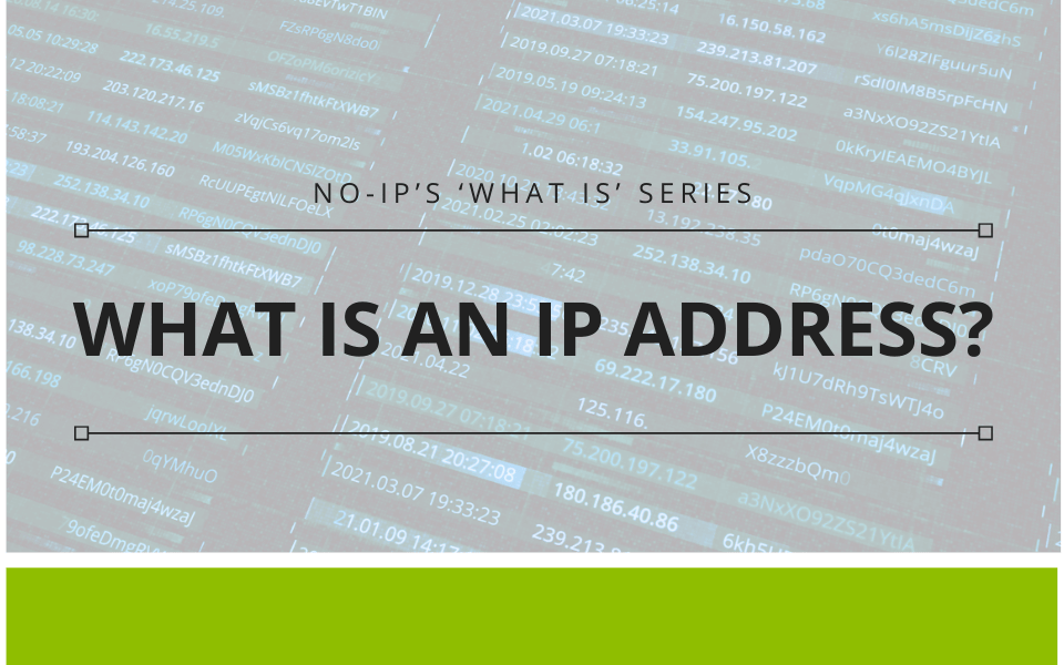 What is an IP Address?