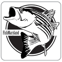 FishMaryland