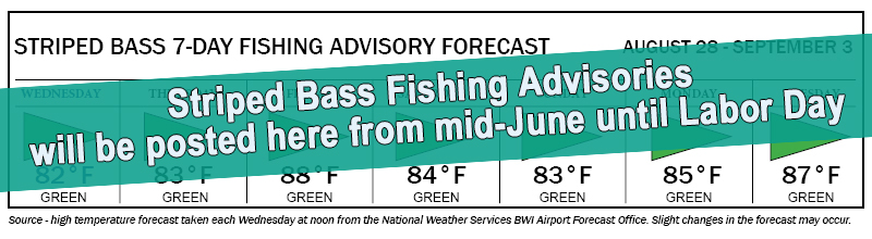 Striped Bass indicating the striped bass fishery is closed Wednesday, then red flag days Thursday and Friday, and yellow flag days Saturday through Tuesday.