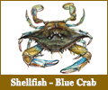 Blue Crab