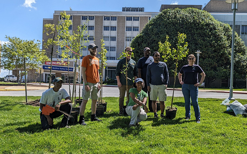 Maryland Departments of Natural Resources, Environment Celebrate Milestone of 1 Million Trees Planted