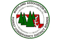 Foresty Board Logo