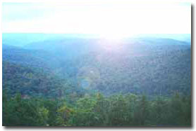 Photo of the trees and moutains with a sunrise.