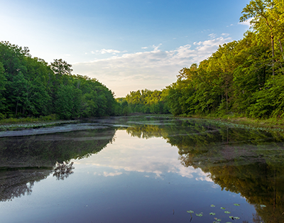 Spring Reflections in Cedarville State Forest, photo by Terry Thomas