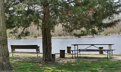 Martinak State Park Picnic Table