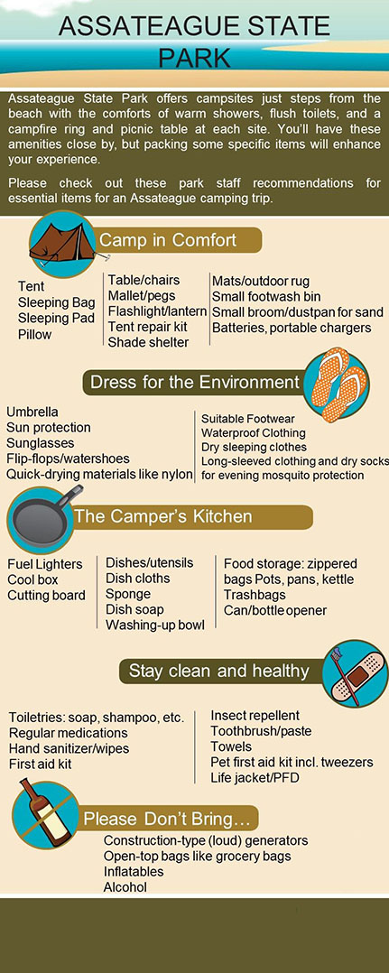 Packing essentials graphic