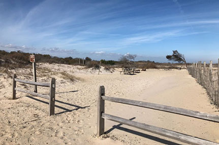 beach with fence