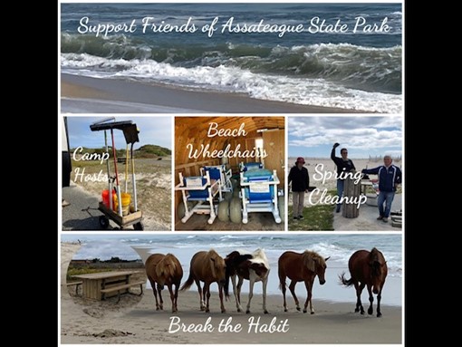 Friends of Assateague State Park