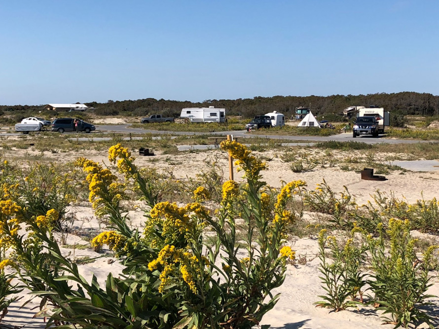 Camping on the beach