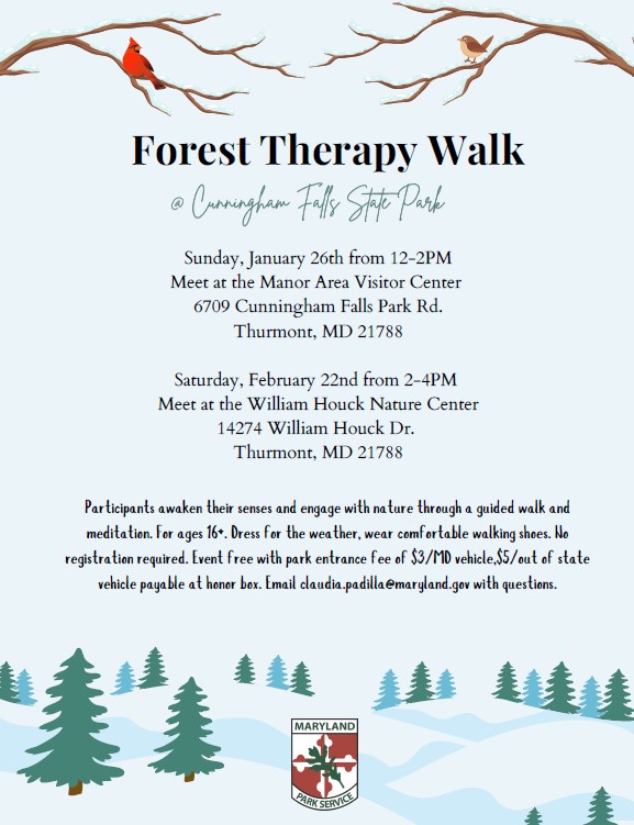 Forest Therapy Walk flyer. Links to PDF version