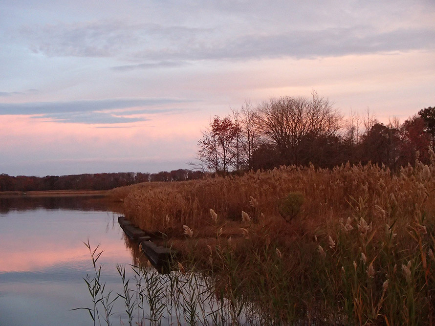 Dundee creek marsh at sunset Photo: Jon Gaillard