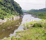 Photo of river that empties into the Bay