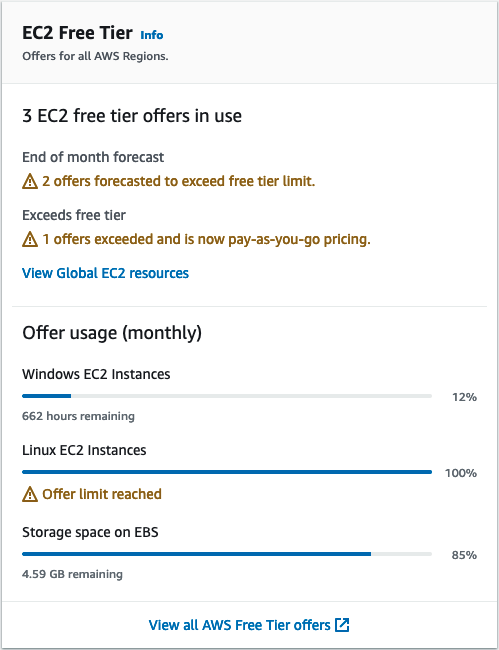 Das Feld „EC2Kostenloses Kontingent“ im EC2 Dashboard.