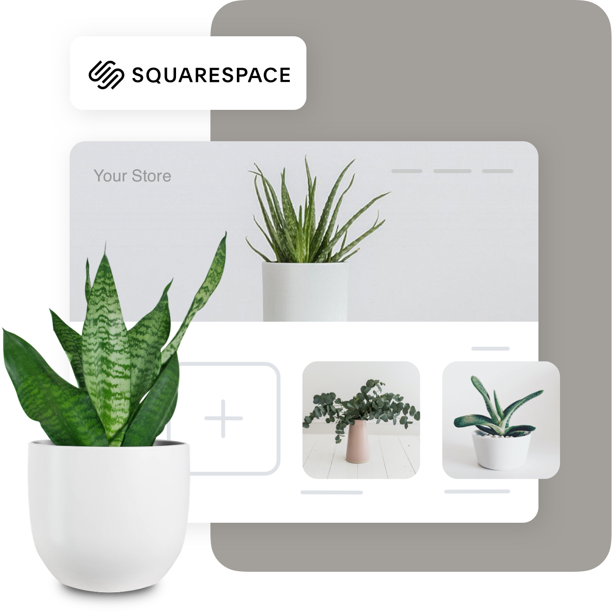 Squarespace_Main-1619683726-1619768429