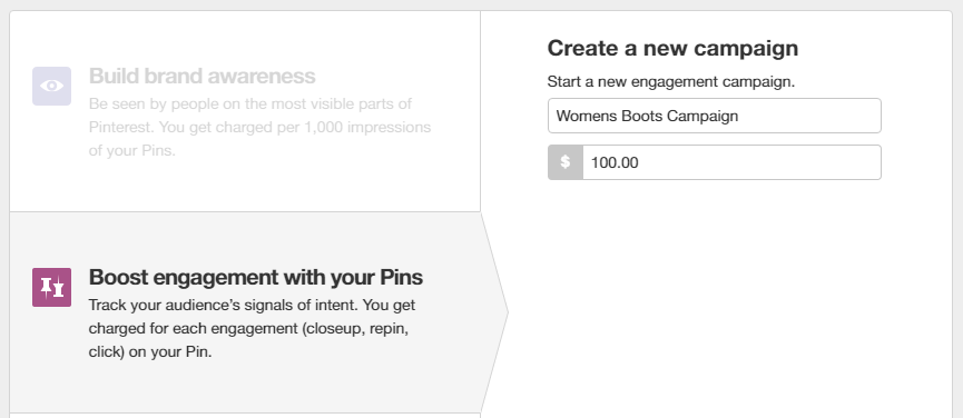 Pinterest Ads: Setting up campaign name and budget