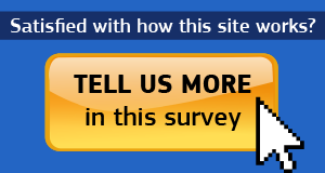 ECFIN Survey