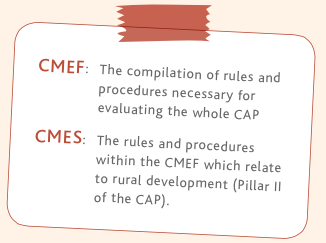 CMEF &amp; CMES