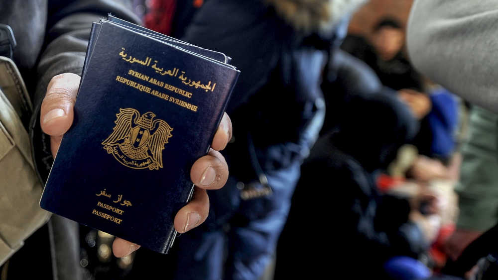 hand holding a passport