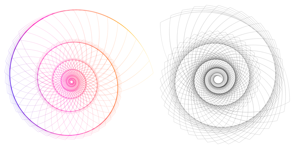 Design of spiral seashells highlighting radial design 