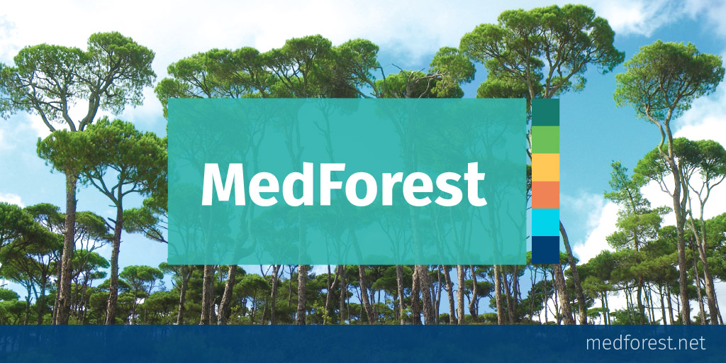 medforest