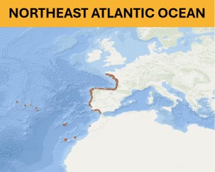 North East Atlantic Ocean - Beach litter aggregated datasets