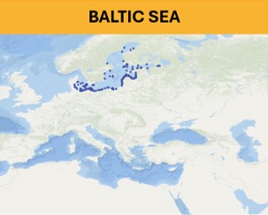 Baltic Sea - Beach litter aggregated datasets