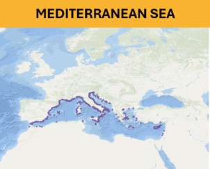 Mediterranean Sea - Beach litter aggregated datasets