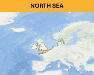 North Sea - Beach litter aggregated datasets