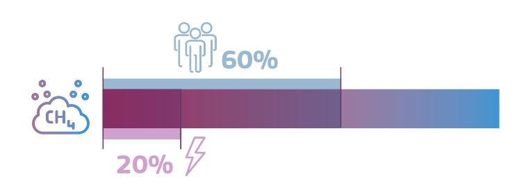 Bar chart showing that 60% of total methane emissions arise from human activity and 20% of total emissions arise from the energy sector