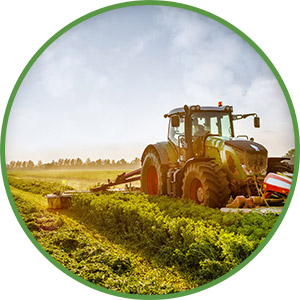 agri-ico.jpg (tractor makes harvesting hay for animals on a farm)