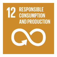 SDG 12 Responsible Consumption and Production