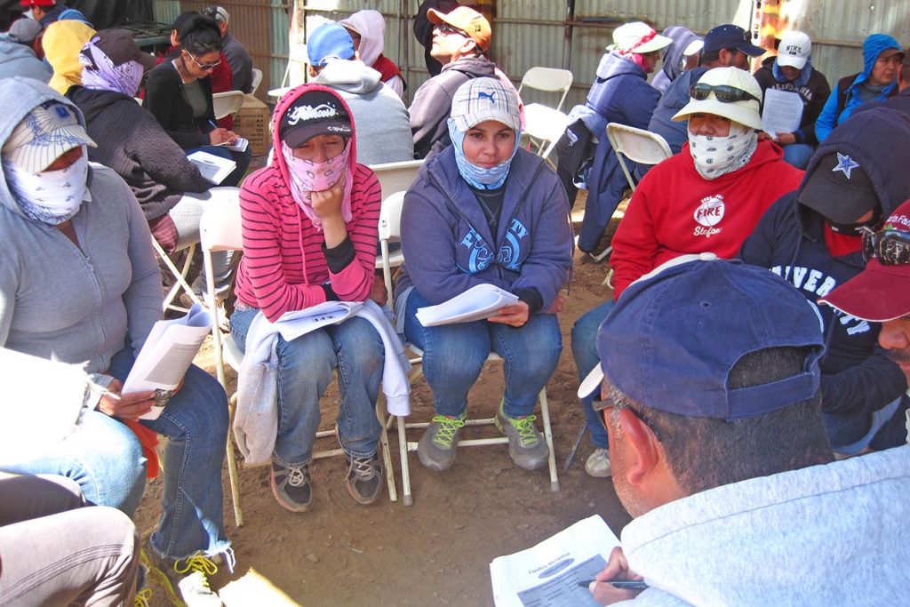 1,000 Farmworkers Trained Through EFI’s Workforce Development Program