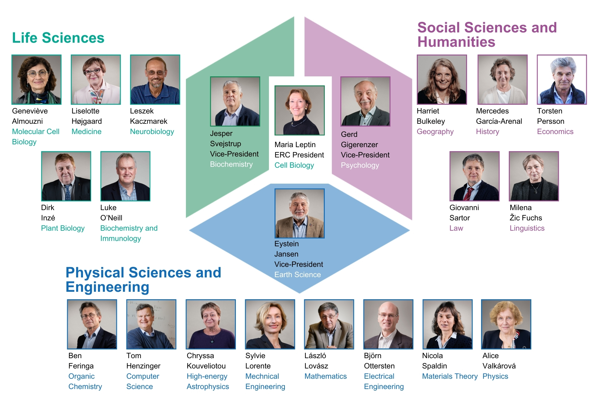 ERC Scientific Council composition