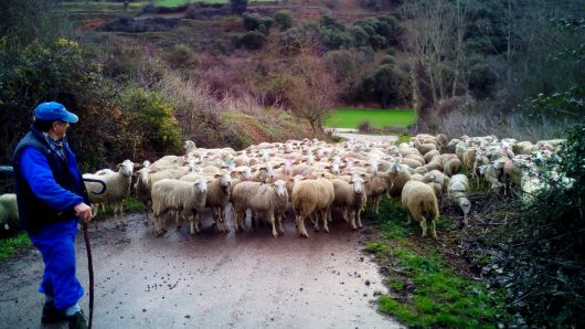 Oportunidades para el Medio Rural