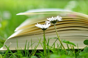 Book in the grass