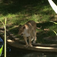 Photo taken at Smithsonian’s National Zoo by Jenna D. on 5/26/2013