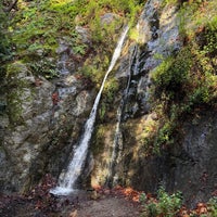 Photo taken at Pfeiffer Big Sur State Park by Scott F. on 12/28/2024