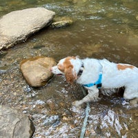 Foto tirada no(a) Unicoi State Park por Suzy N. em 5/12/2022