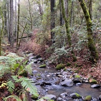 Photo taken at Bothe Napa Valley State Park by Chris G. on 12/25/2019