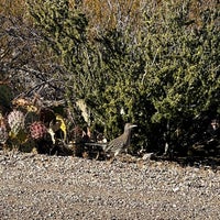 Photo taken at Panther Junction Visitor Center by Rick C. on 12/23/2021