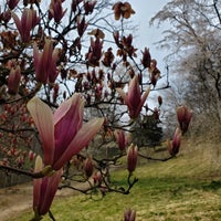 Photo taken at Dumbarton Oaks Park by Joy L. on 3/22/2023