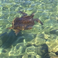 Photo taken at Waikoloa beach by philippe b. on 7/15/2015