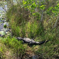 Photo prise au Anhinga Trail par Veronika le5/4/2023